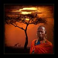 1007 - Masai mamma maria - NEGREDO Julian - spain